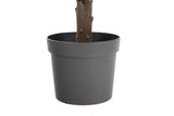 artificial two ball topiary tree 83cm - nursery pot