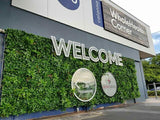Dense Green Meadows Vertical Garden / Green Wall UV Resistant 1m x 1m