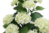 artificial white hydrangea tree - flower detail