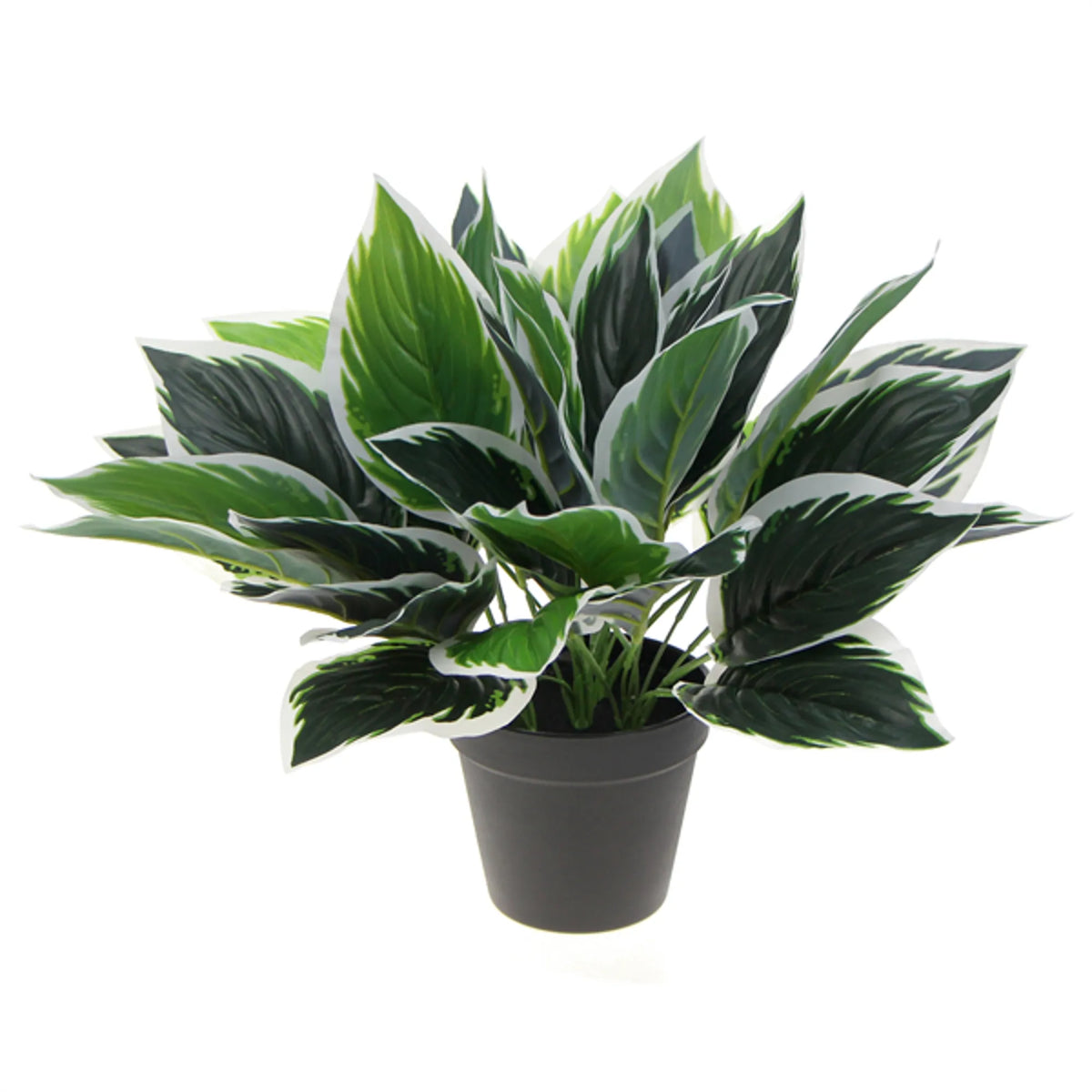 Dense Potted Artificial Calathea Plant 35cm - Designer Plants