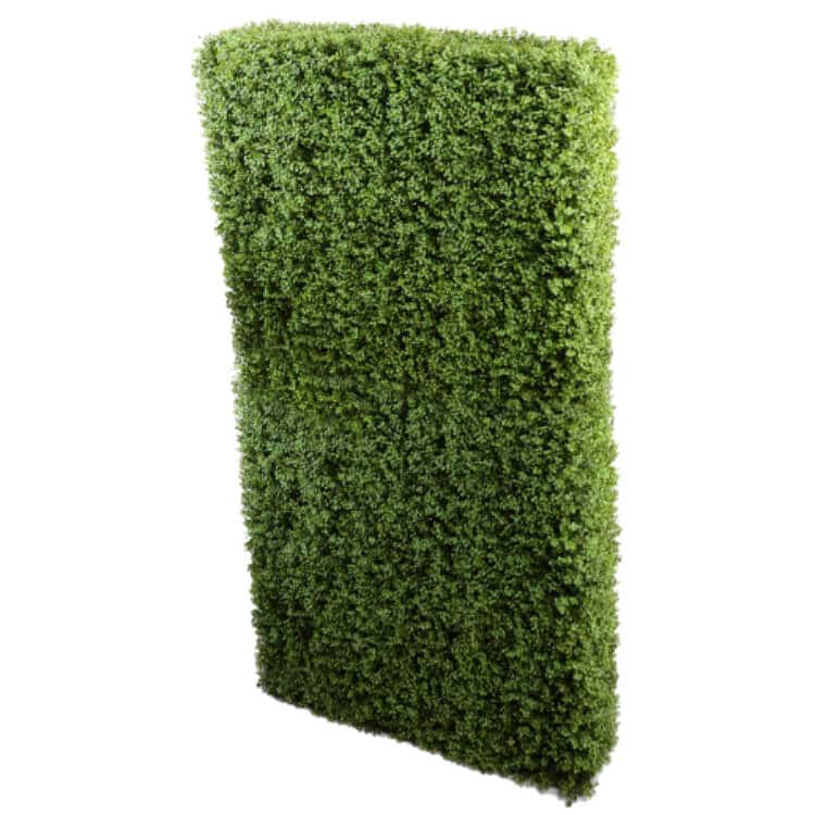 Deluxe Portable Buxus Hedge UV Resistant 100cm Long x 200cm High - Designer Plants