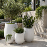 Luxury Teardrop Balloon Planter — Set of 4 White - Designer Plants