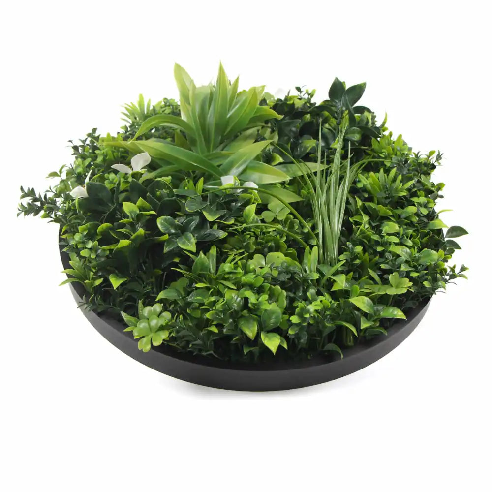 Slimline Flowering White Artificial Green Wall Disc UV Resistant 75cm (Black Frame) - Designer Plants