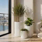Set of 3 Luxury Rounded Ribbed Planter Premium Pot Range White - Designer Plants