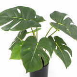Potted Artificial Monstera Split Philodendron Plant with Real Touch Leaves 35cm