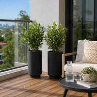 Luxury Cylinder Planter 40cm Matt Black Premium Pot Range
