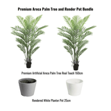 Premium Areca Palm Tree and Render Pot Bundle - Designer Plants