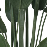 Close-up of green leaves on a white background