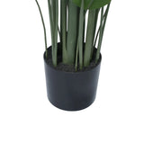 Potted plant with green leaves in a black pot on a white background