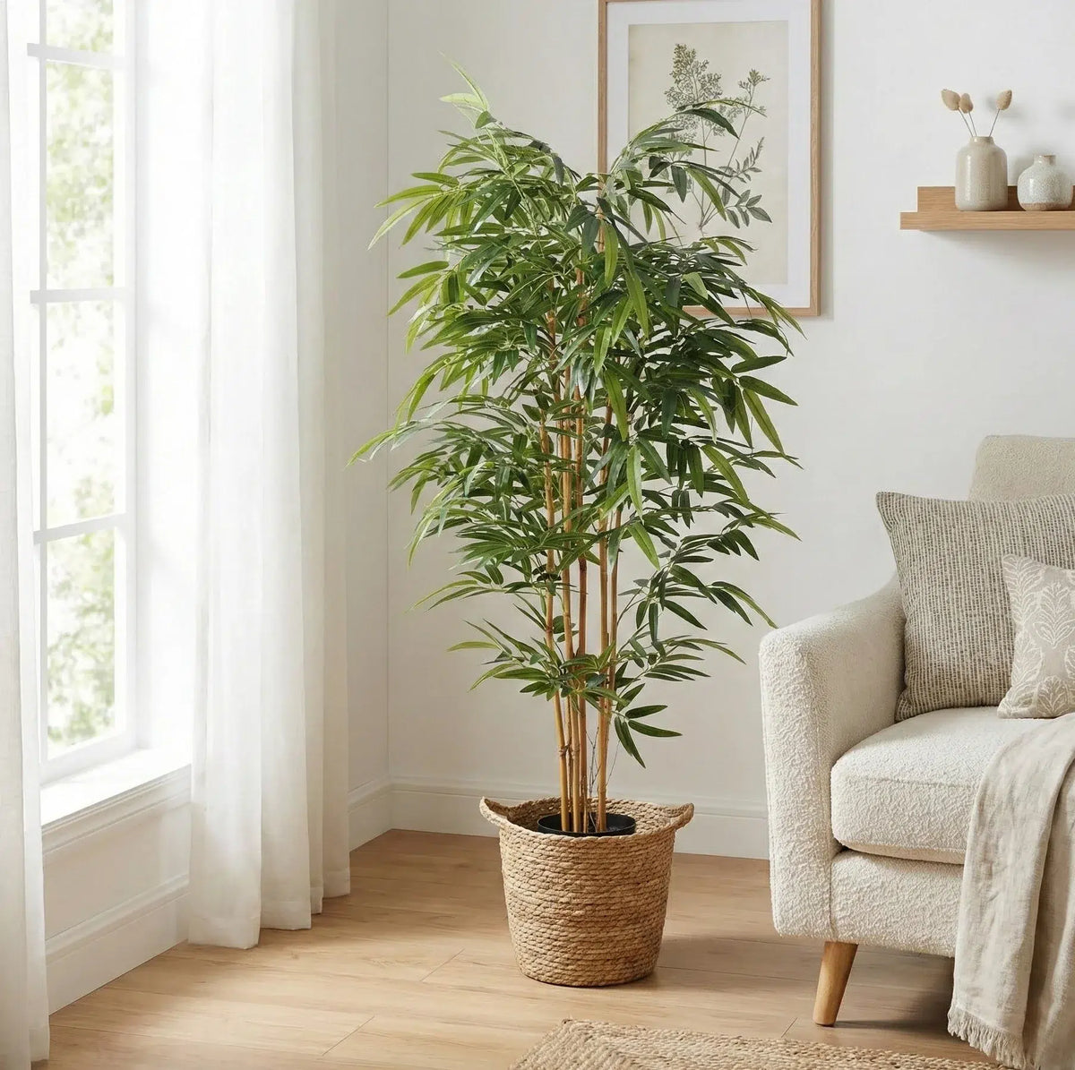 Potted plant in a living room with a sofa and window