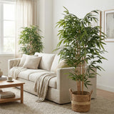 Living room with a beige sofa, coffee table, and potted plants.