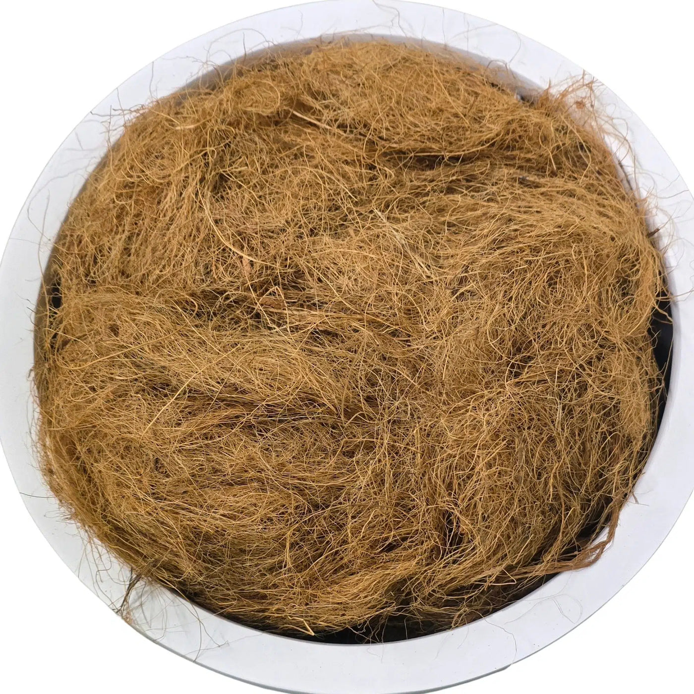 A top-down view of a circular white container filled with a dense, curly mass of golden-brown coir or coconut fiber.