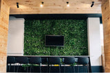 Modern interior with a green wall and black TV, surrounded by chairs.