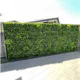 Artificial green wall panel on a building exterior