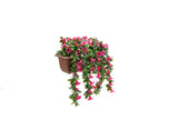 artificial pink petunia window box 50cm - right side