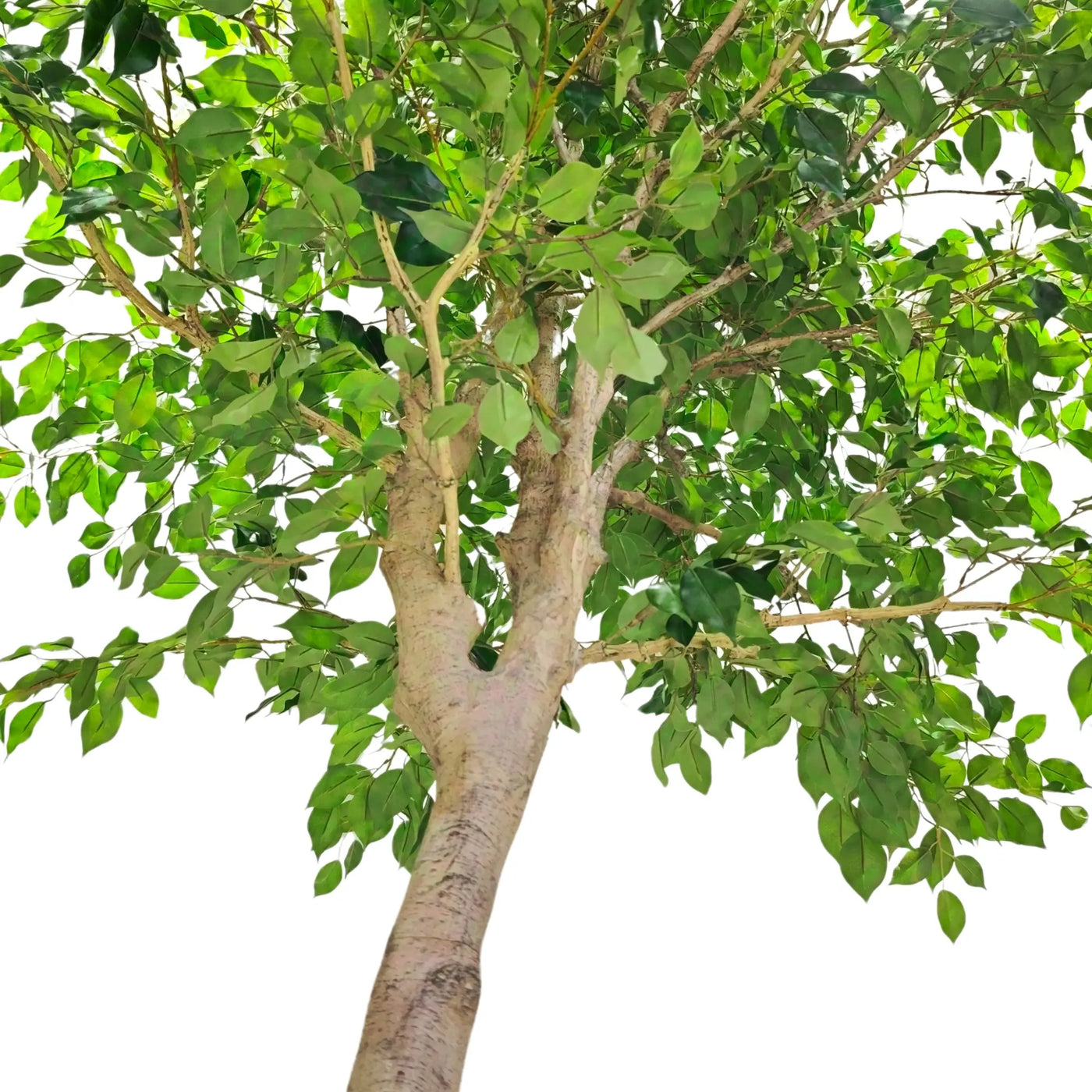 A potted artificial tree with green leaves and a light brown trunk, isolated on a white background.