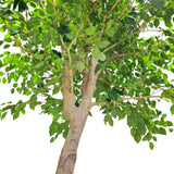 A potted artificial tree with green leaves and a light brown trunk, isolated on a white background.