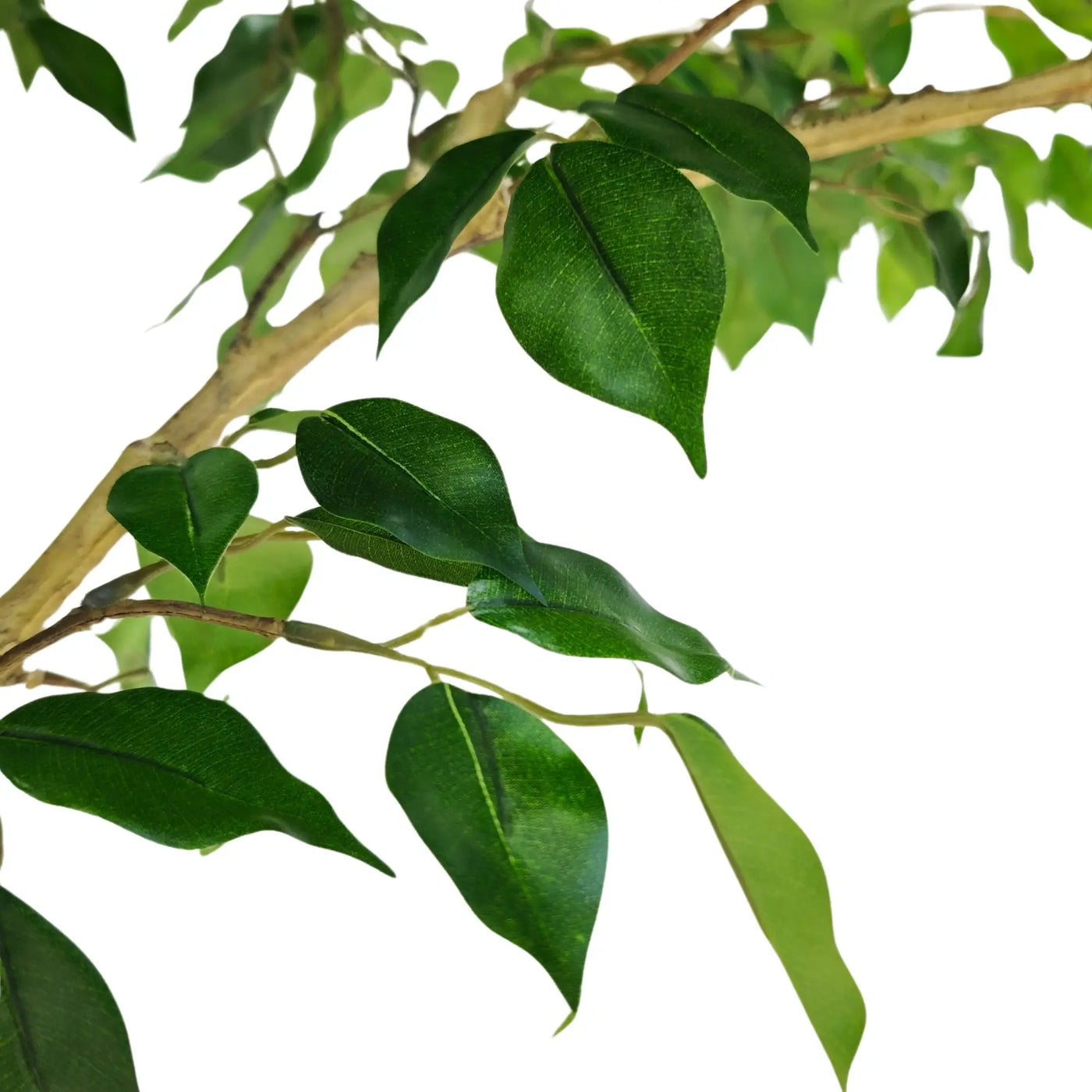 Artificial green leaves on a faux tree branch, isolated on a solid white background.