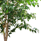 A live artificial potted tree with green leaves and brown branches, shown against a solid white background.