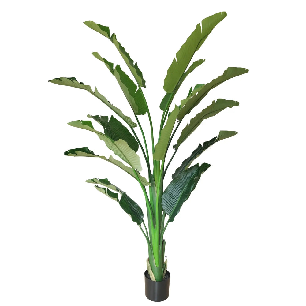 An artificial banana leaf plant in a black plastic pot, isolated on a white background.