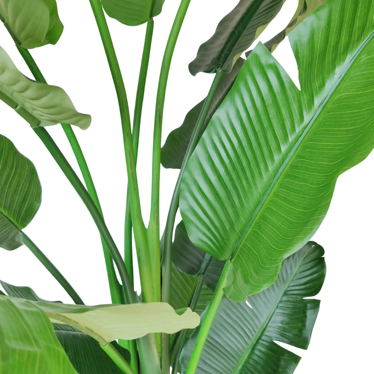 Artificial green banana leaf plant with realistic textured leaves and stems, isolated on a white background.