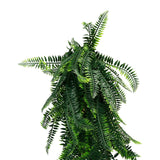 Artificial Mixed Green Bracken Fern 85cm UV Resistant