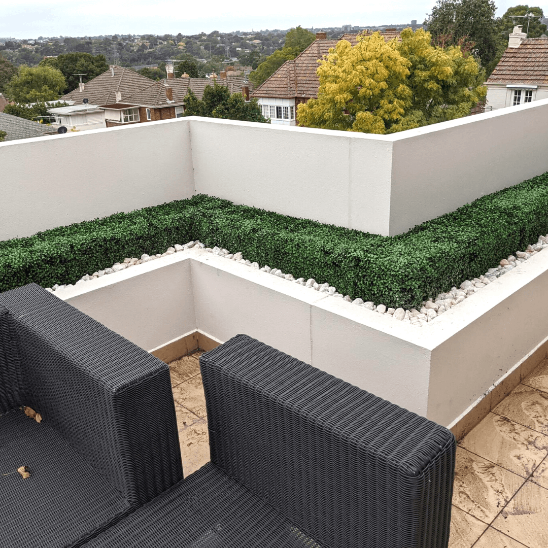 Portable Boxwood Hedge UV Resistant 25cm High 100cm Long