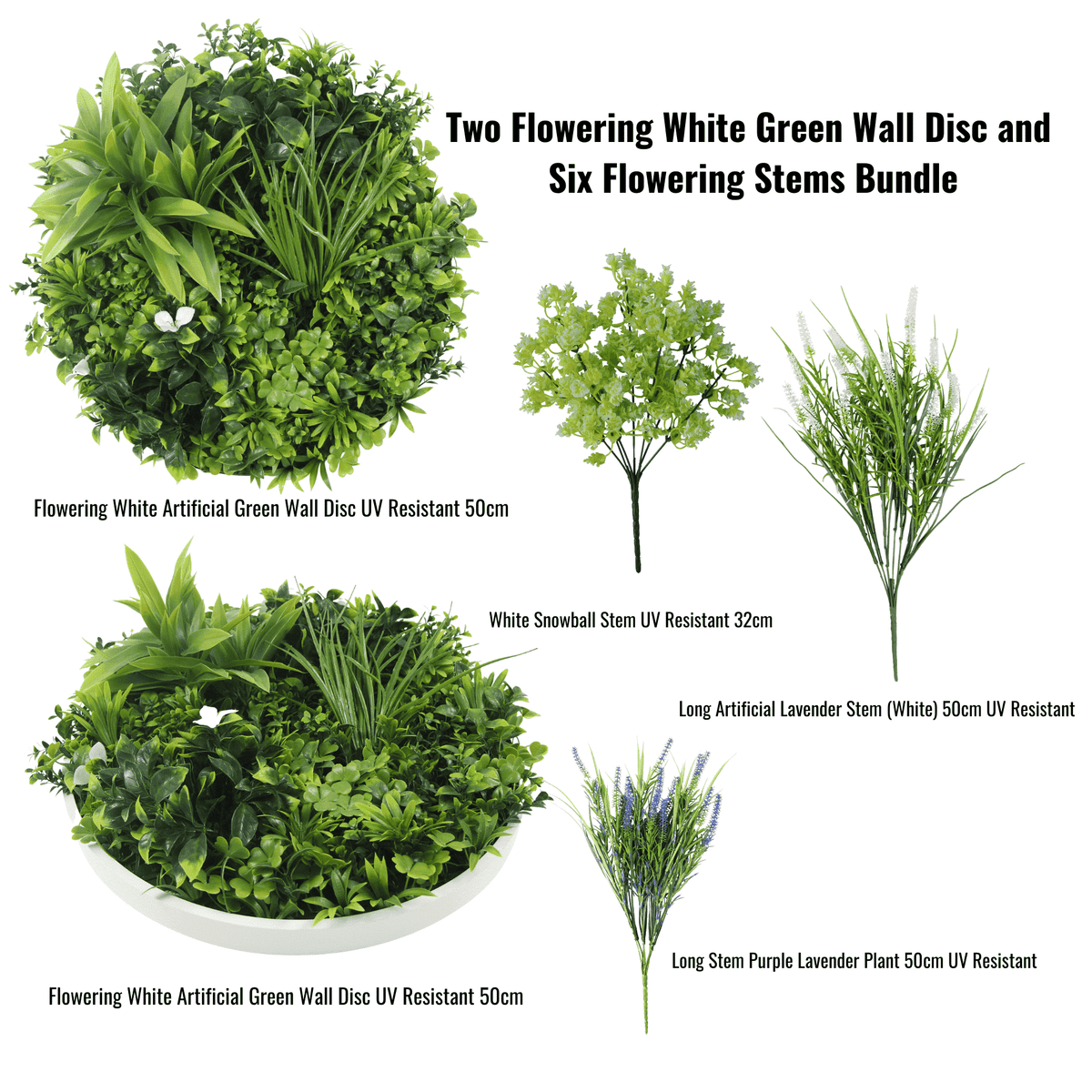 Two Flowering White Green Wall 50cm Discs and Six Flowering Stems Bundle - Designer Plants