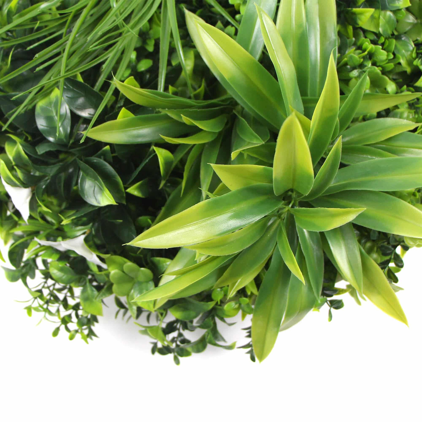 Slimline Flowering White Artificial Green Wall Disc UV Resistant 100cm (Black Frame)