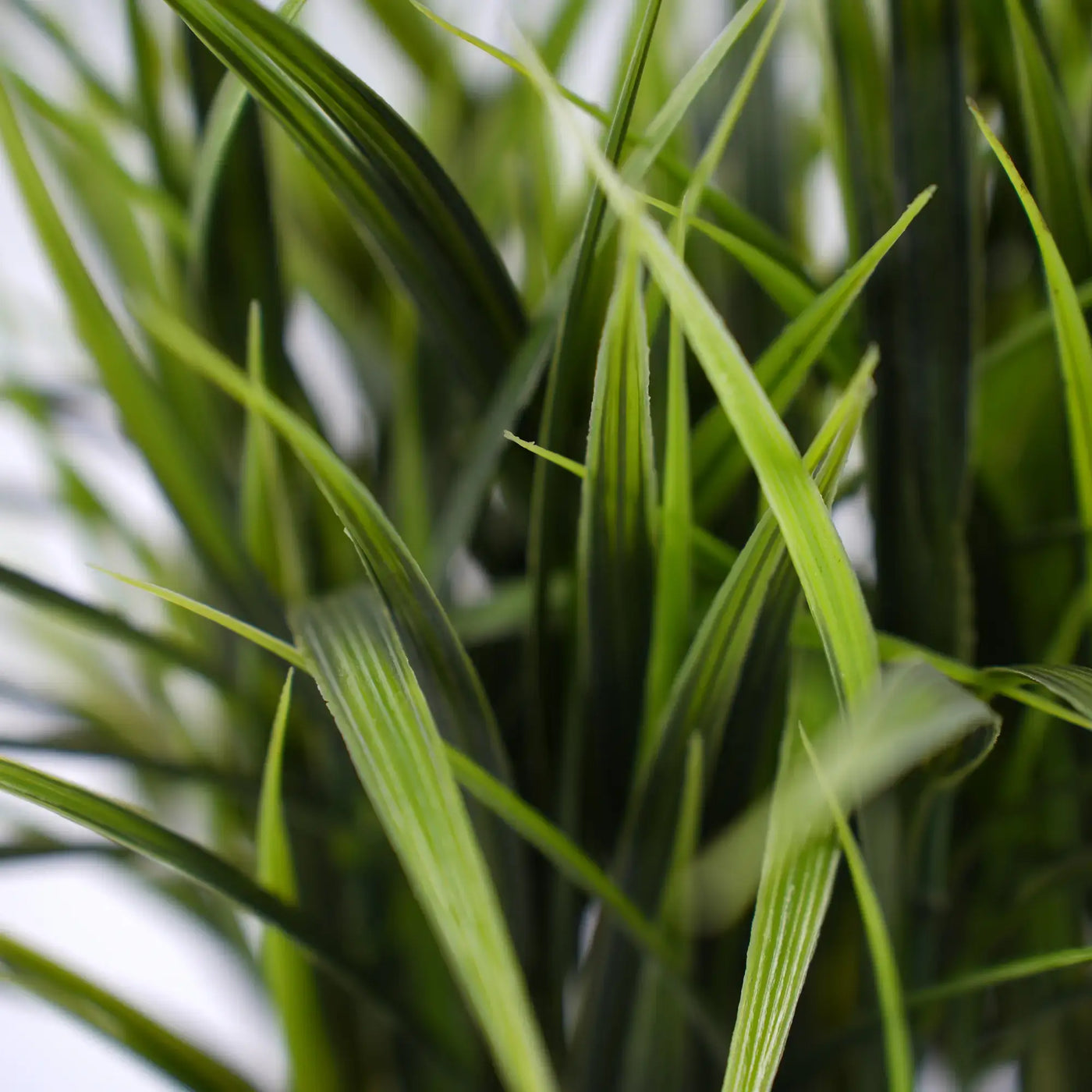 Artificial Ornamental Potted Dense Green Grass UV Resistant 38cm