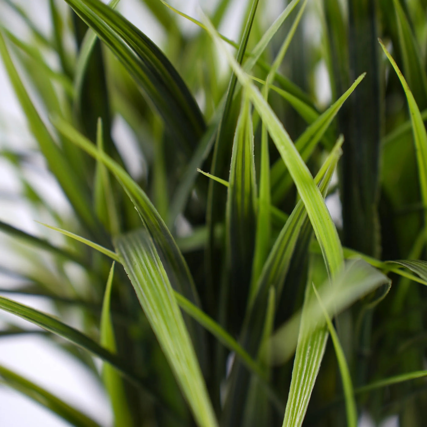 Artificial Ornamental Potted Dense Green Grass UV Resistant 38cm
