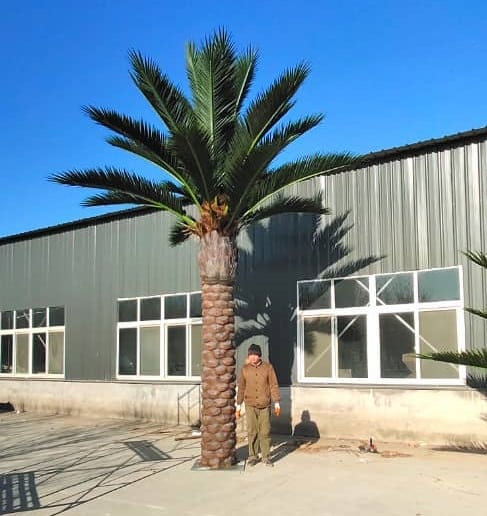 Tall Artificial Queensland Palm Tree (4m to 7m) UV Resistant