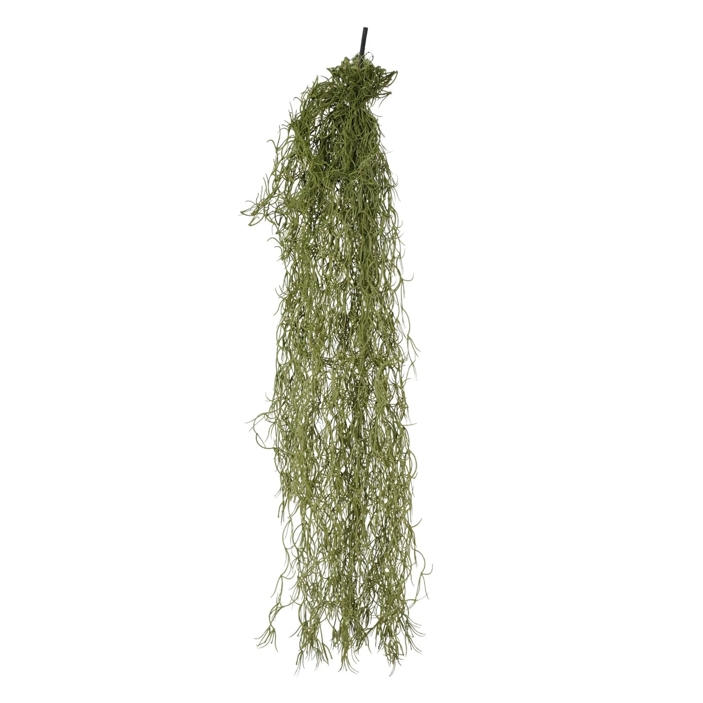 A long, hanging green mossy branch or artificial plant stem with fine, wispy strands, suspended against a plain white background.