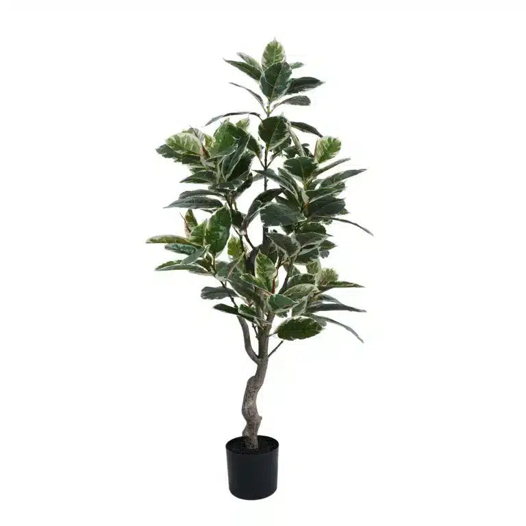 Artificial Bushy Variegated Ficus Tree (Rubber Tree) 120cm - Designer Plants