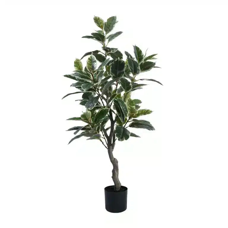 Artificial Bushy Variegated Ficus Tree (Rubber Tree) 120cm