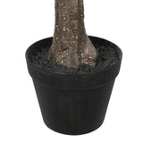 Potted plant with a black pot on a white background