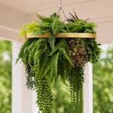 Gold Artificial Hanging Plant Disc Chandelier with Tropical Fern Foliage & Trailing Greenery — 60cm UV Resistant