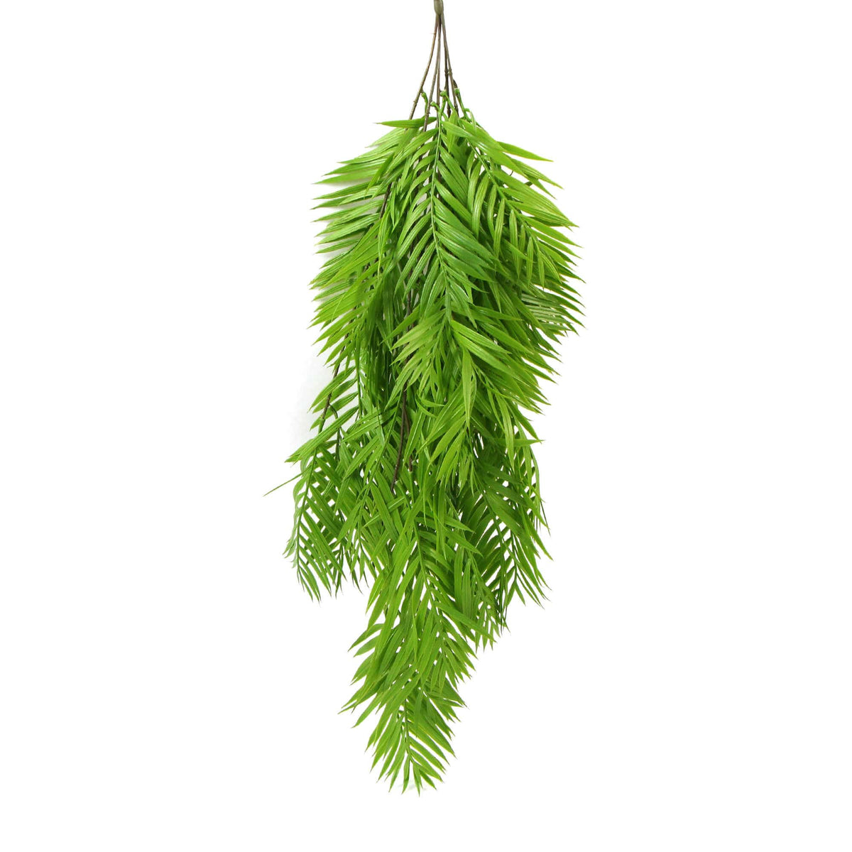Hanging Fresh Green Bamboo Leaf Fern UV Resistant 80cm - Designer Plants