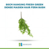 80cm Hanging Fresh Green Dense Maiden Hair Fern Bush UV Resistant