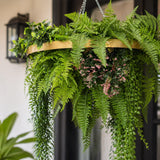 Gold Artificial Hanging Plant Disc Chandelier with Cascading Greenery & Trailing Fern Foliage — 60cm UV Resistant