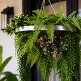 Silver Artificial Hanging Plant Disc Chandelier with Cascading Greenery & Trailing Fern Foliage — 60cm UV Resistant
