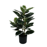 Artificial Bushy Dense Variegated Ficus Tree (Rubber Tree) 50cm