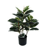 Artificial Bushy Dense Variegated Ficus Tree (Rubber Tree) 50cm - Designer Plants