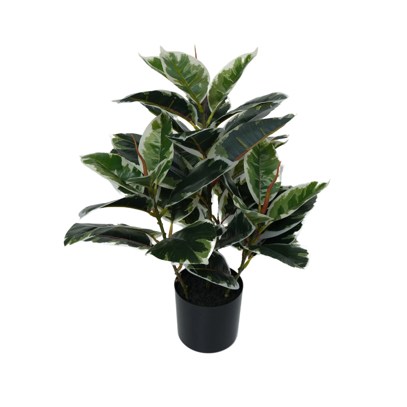 Artificial Bushy Dense Variegated Ficus Tree (Rubber Tree) 50cm