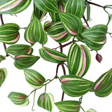 Artificial Hanging / Draping Wandering Jew 42cm