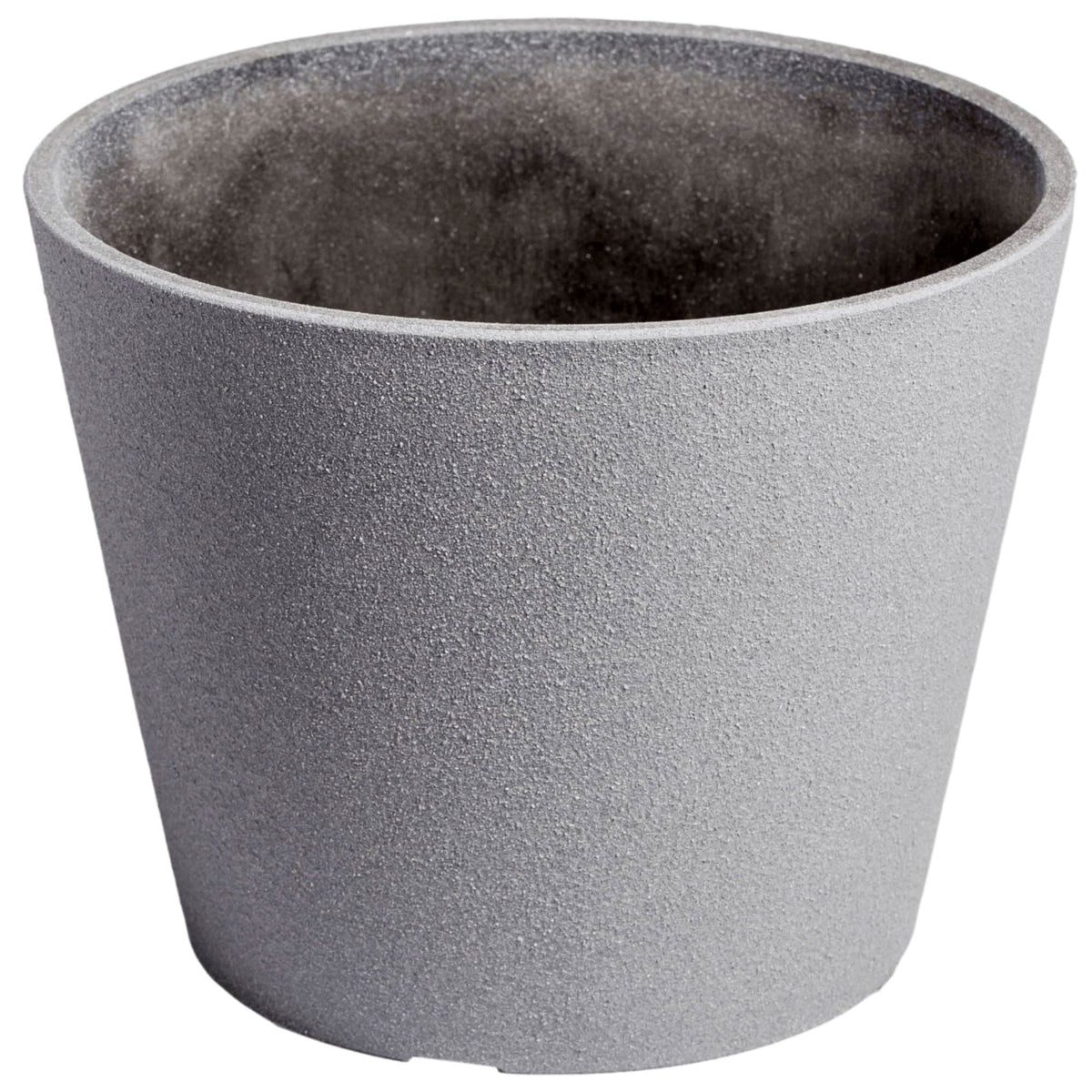 Premium Areca Palm Tree and Render Pot Bundle