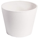 Premium Areca Palm Tree and Render Pot Bundle