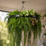 Black Artificial Hanging Plant Disc Chandelier with Premium Fern Foliage & Trailing Greenery — 60cm UV Resistant
