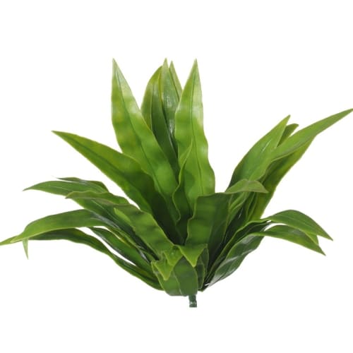 Aloe Vera Stem UV Resistant 20cm - Designer Plants