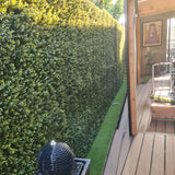 Premium Natural Buxus Hedge Panels UV Resistant 1m x 1m